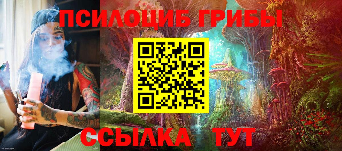 Галлюциногенные грибы GOLDEN TEACHER Североморск