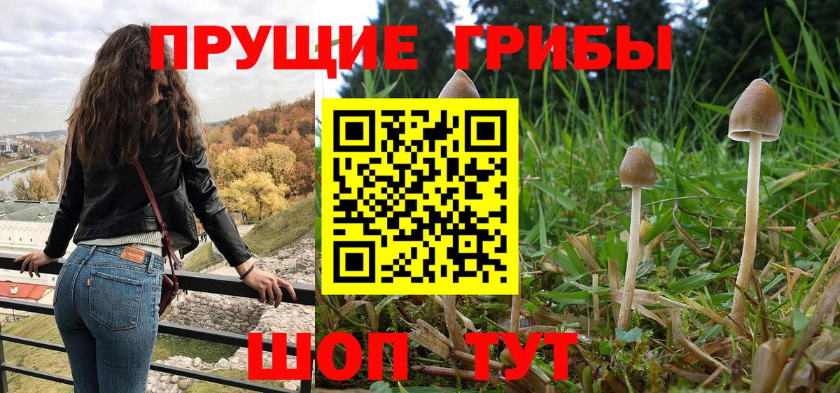 Североморск  хочу   Вход с VPN  Псилоцибиновые грибы Magic Shrooms 